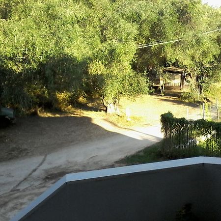 Afroditi Studios Sivota  Bagian luar foto