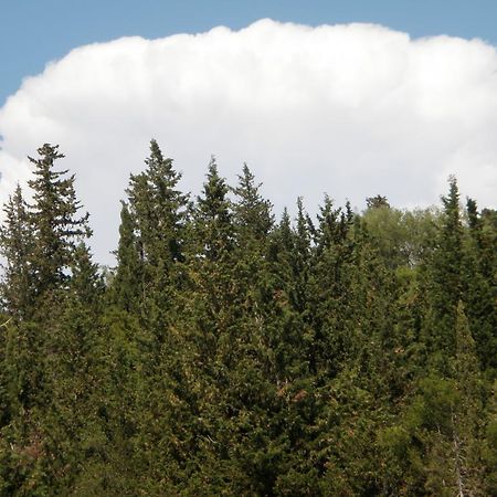 Afroditi Studios Sivota  Bagian luar foto
