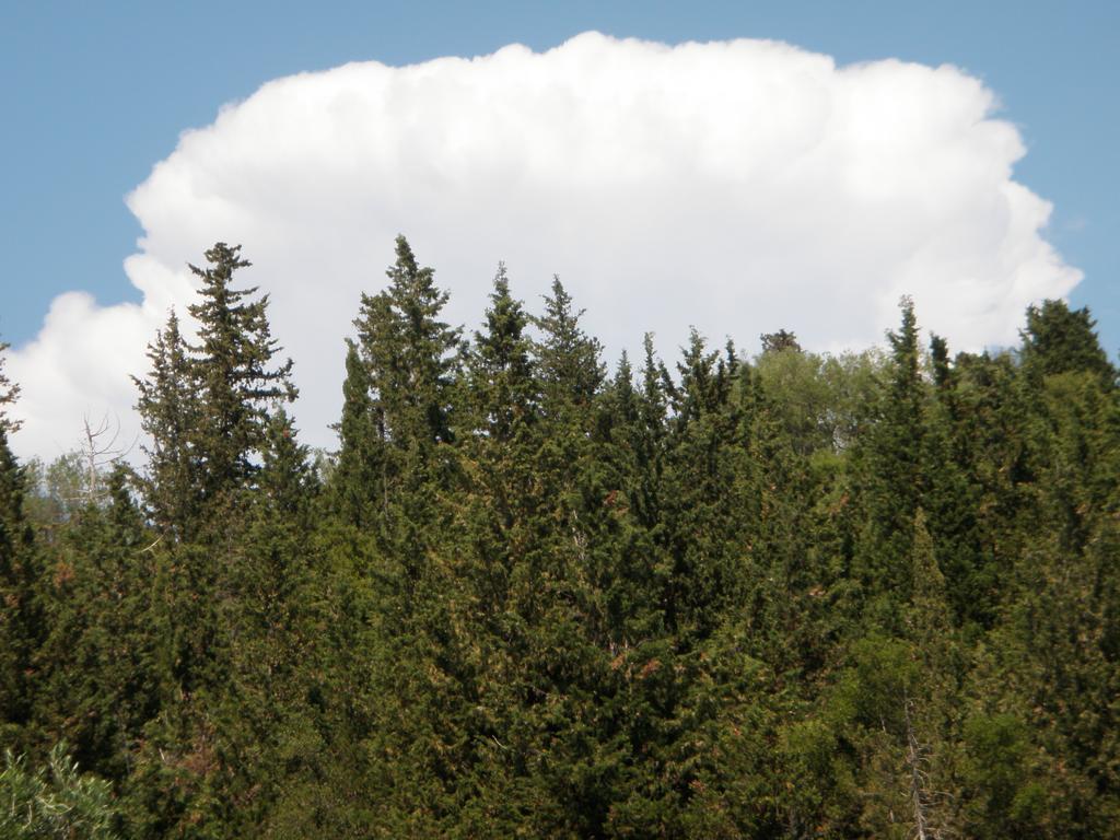 Afroditi Studios Sivota  Bagian luar foto